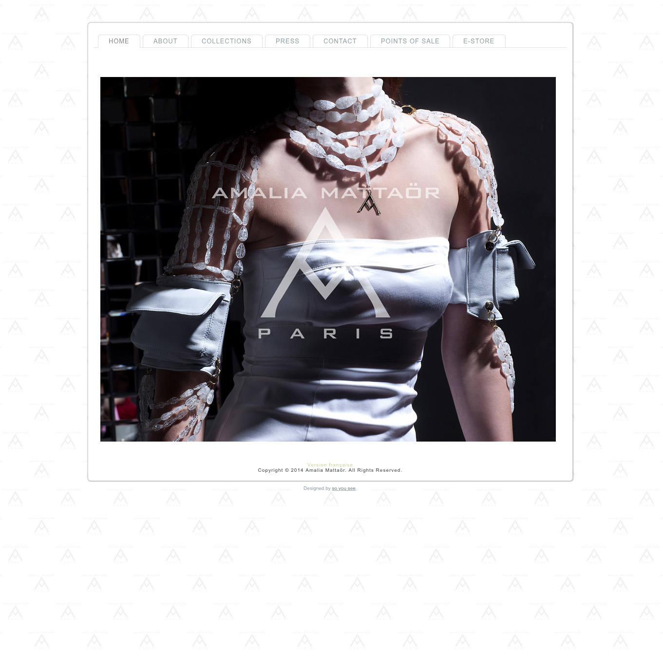 You are currently viewing Le site web d’Amalia Mattaor
